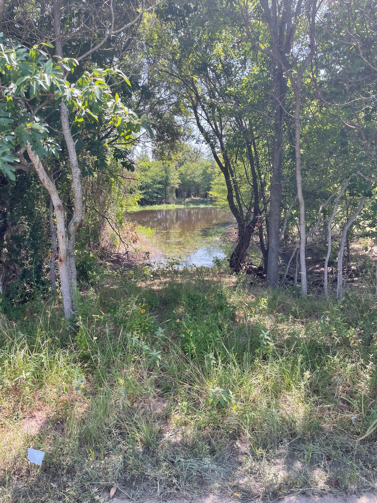 Pond Shot