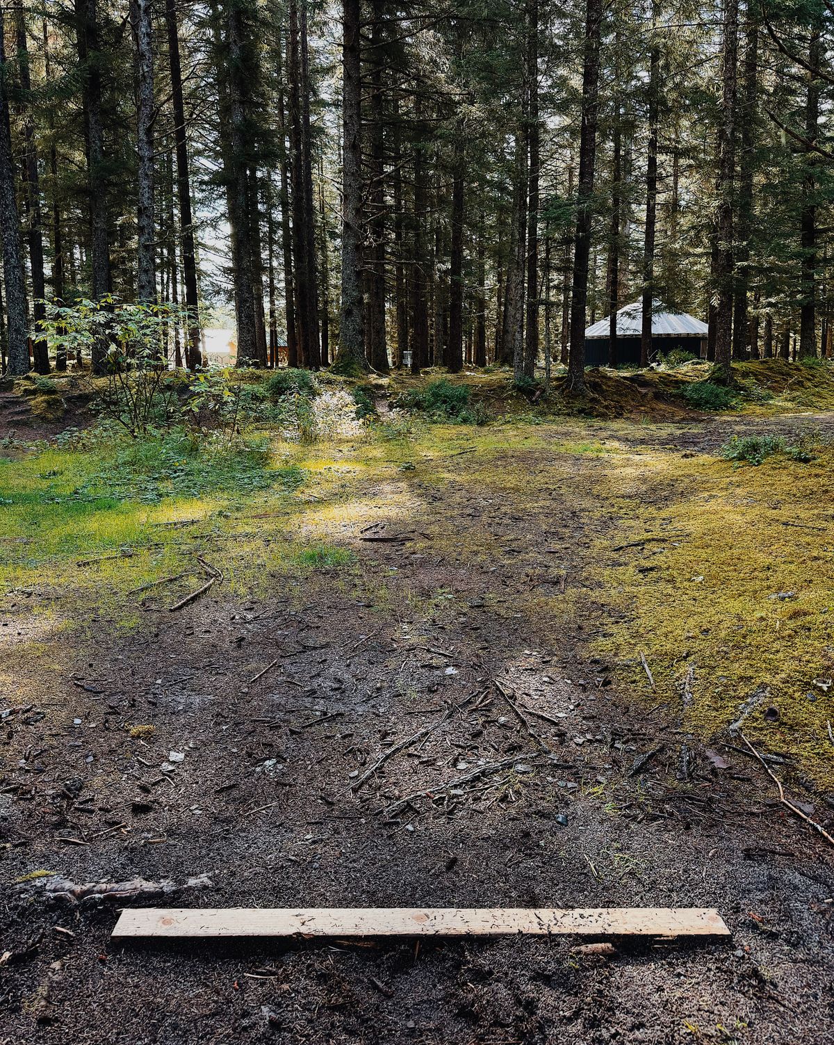Hole 9 Tee Pad