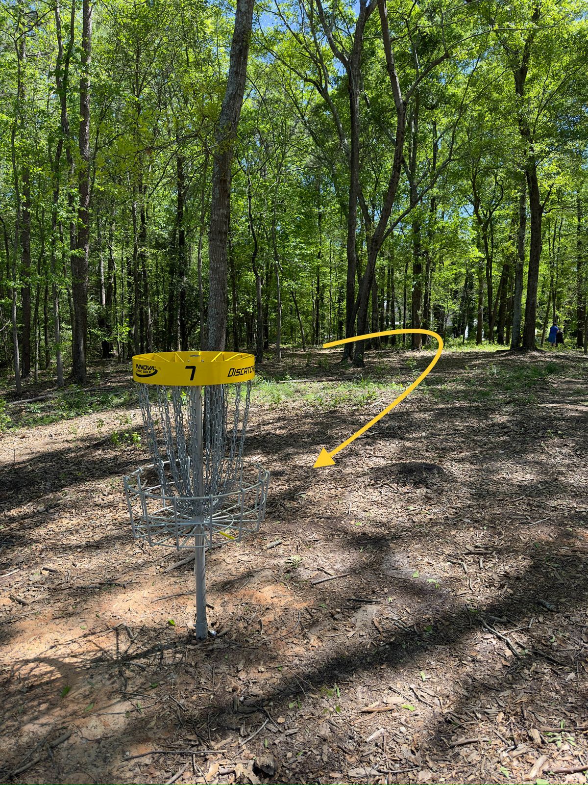 Hole 7 basket