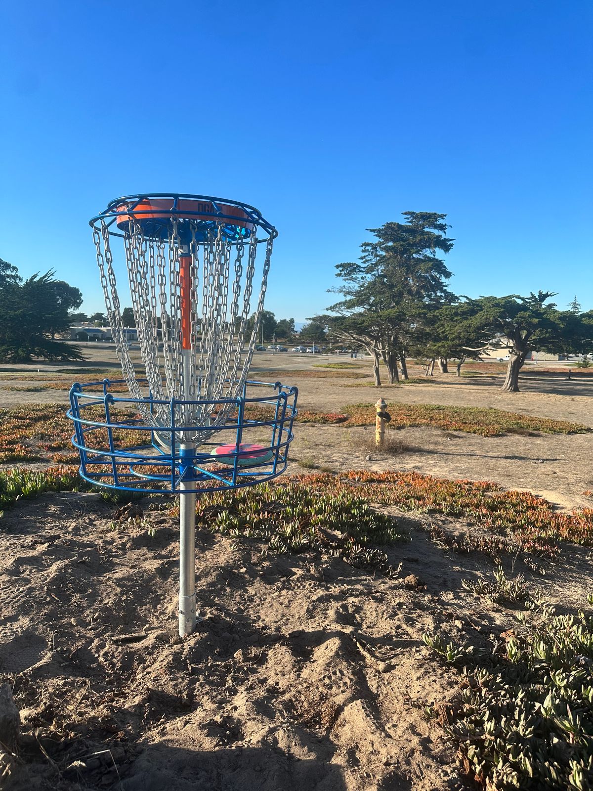 Hole 4's new basket.