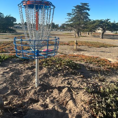 Hole 4's new basket.