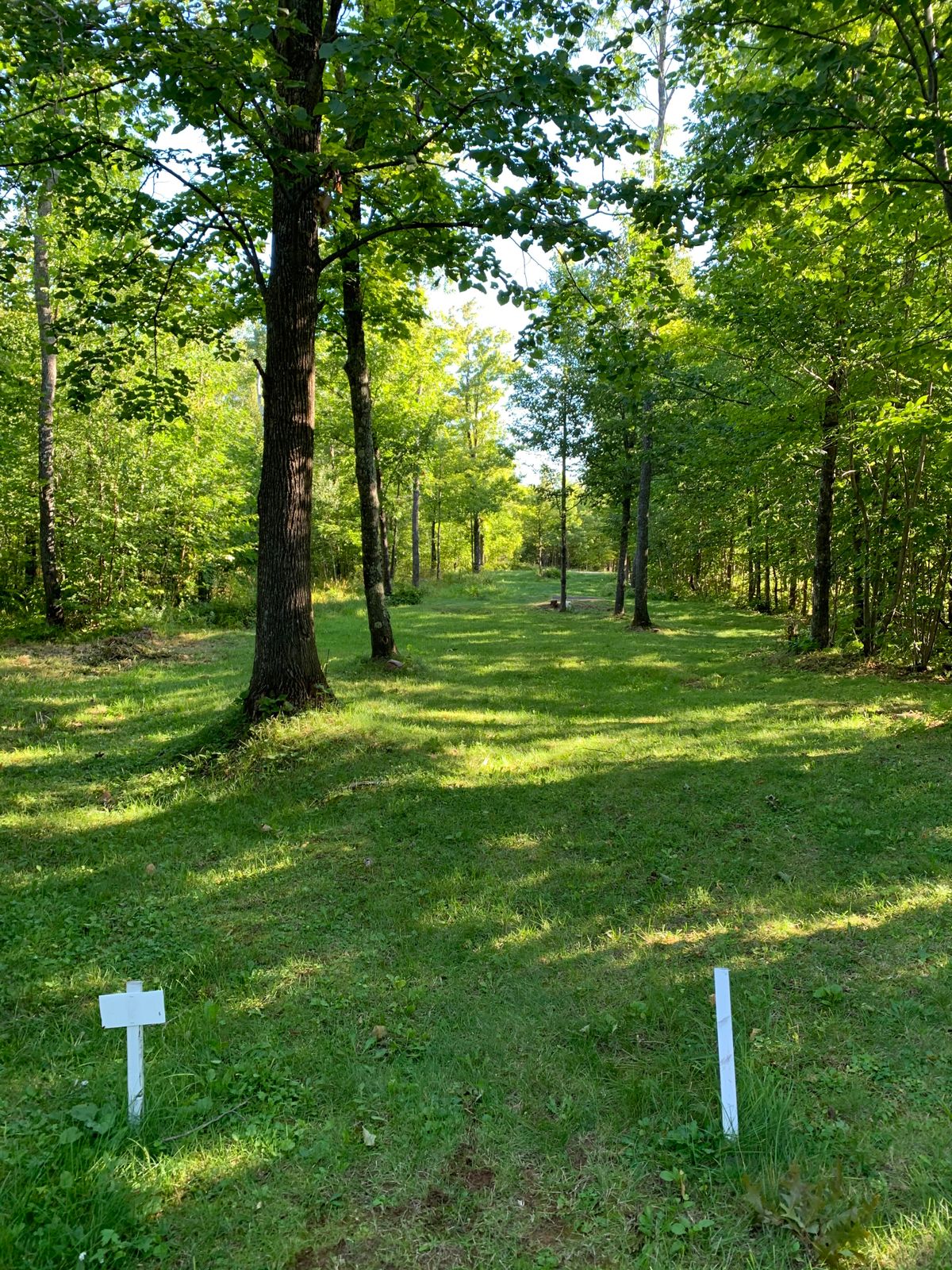 Hole #1 Basket is off to the right
