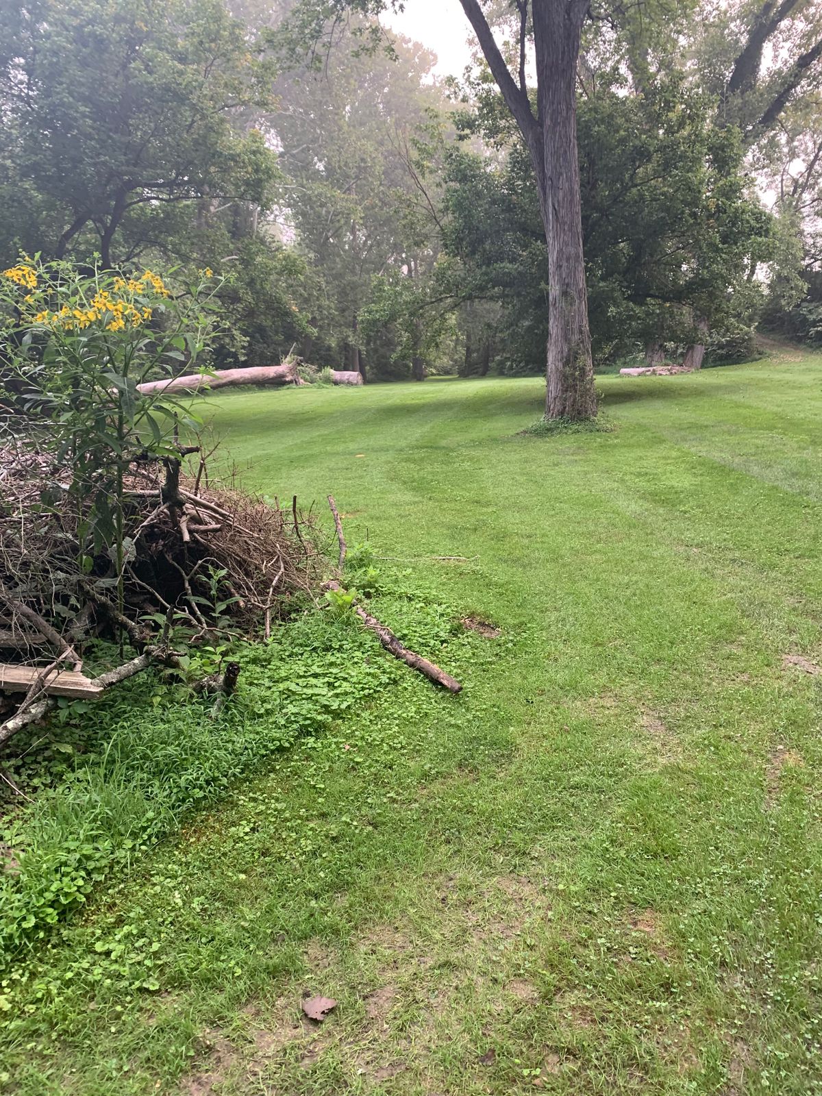 Hole #3 fairway
