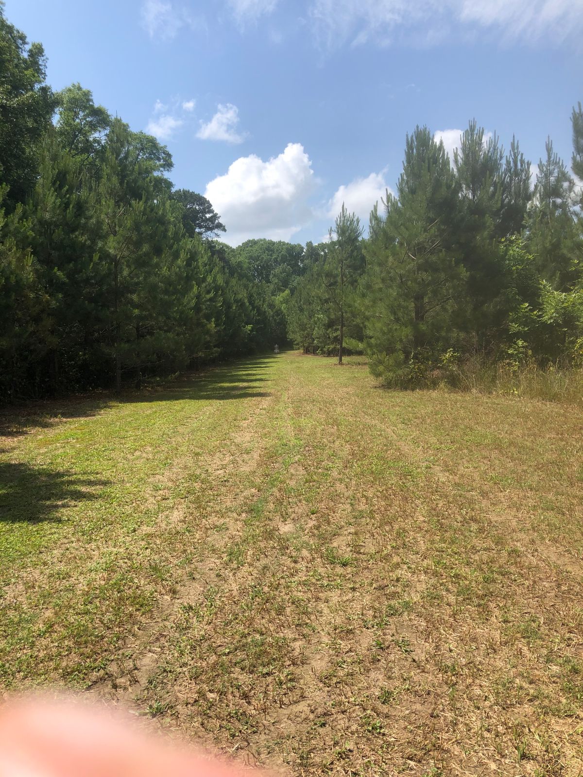 Hole 12