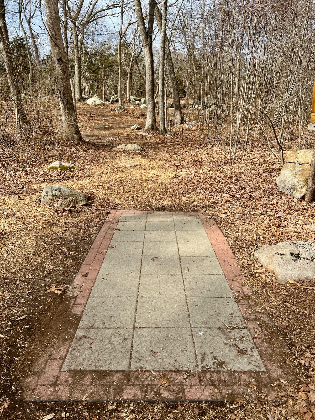Hole #6 Long 3/25