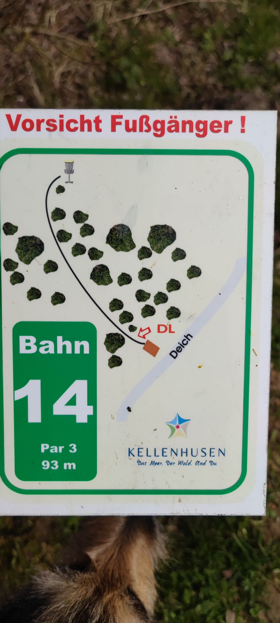 Bahn 14