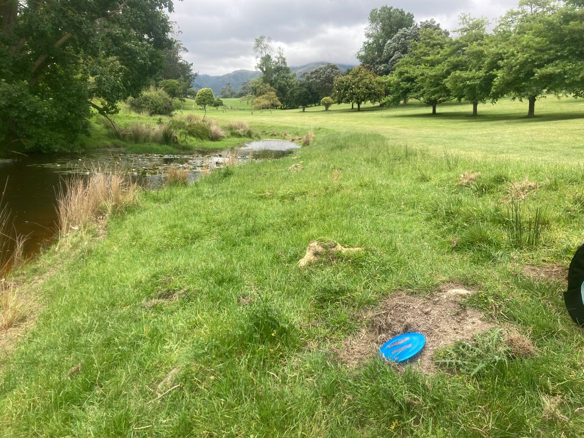 Just over the pond on hole 14 drive (Blue Layout)