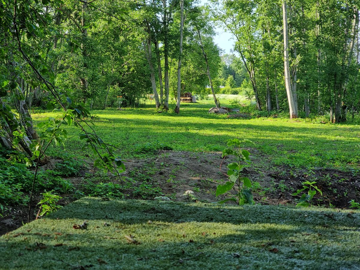 Hole 9