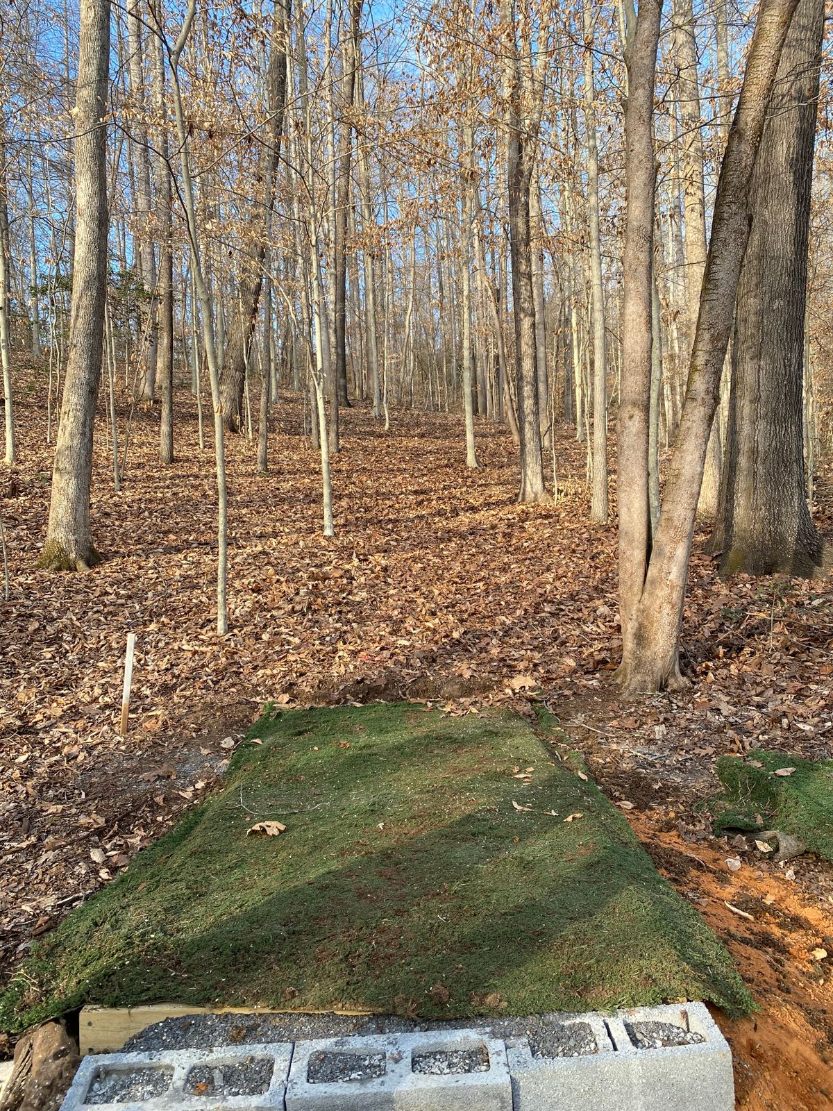 Hole 1