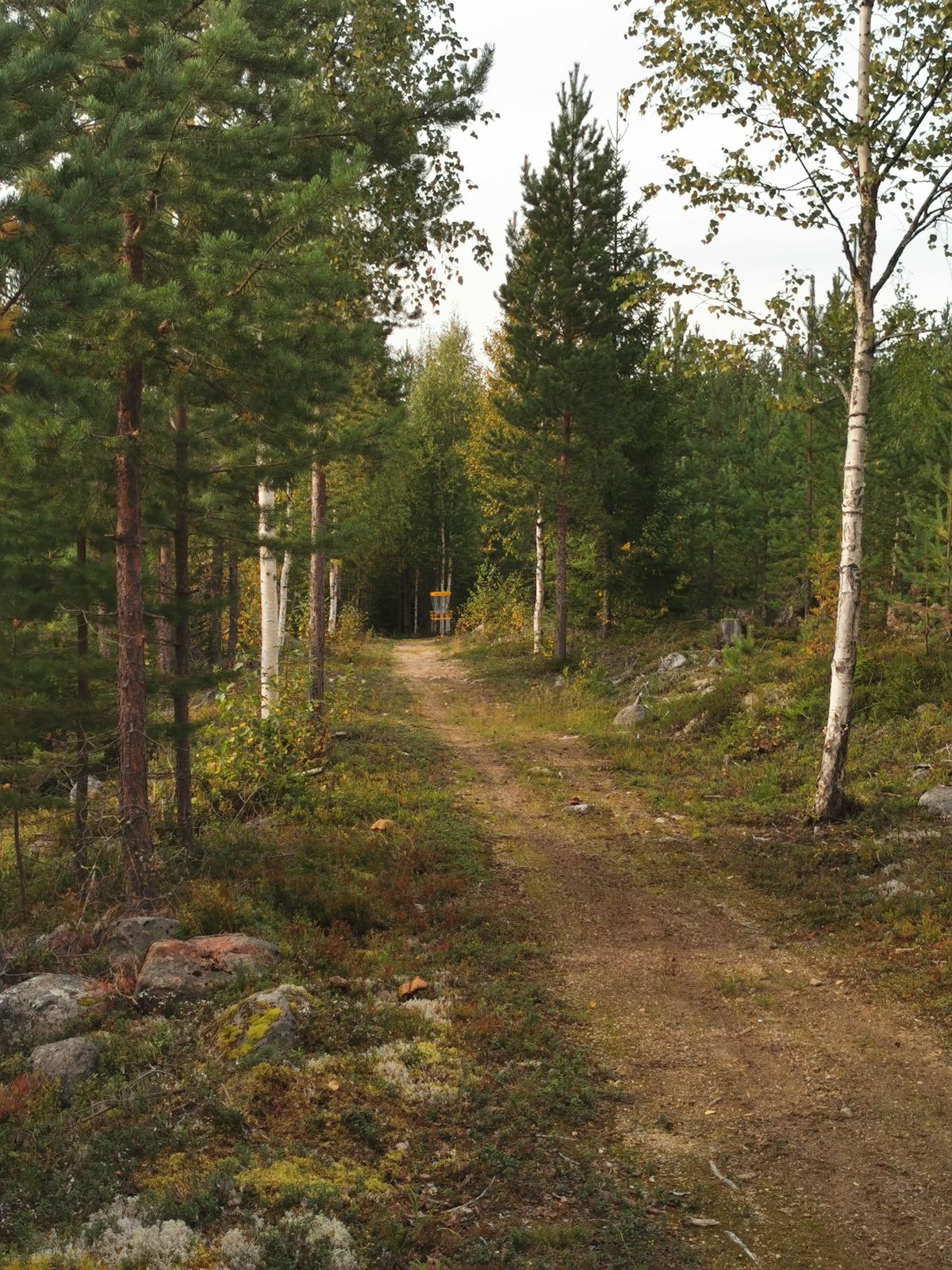 Fairway Mot Korg Hål 7