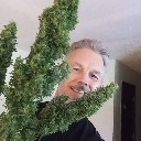 User avatar image