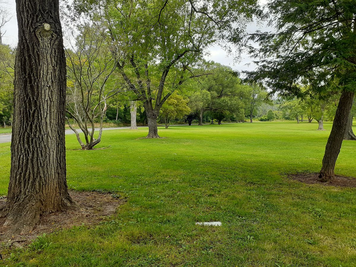 Hole 2 tee