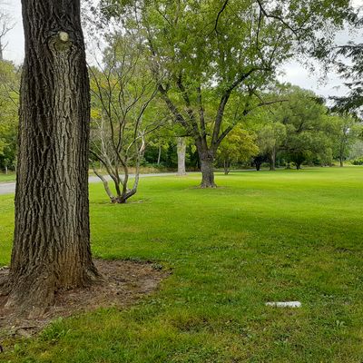 Hole 2 tee