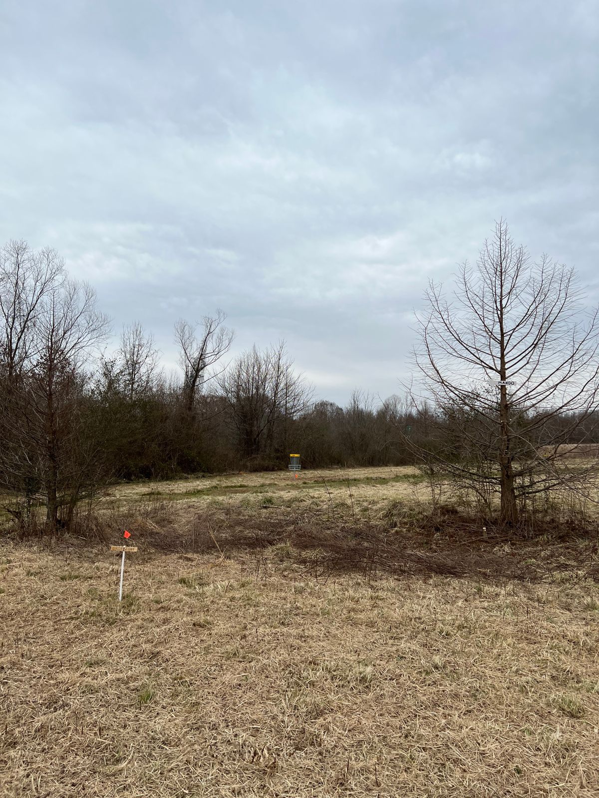 Hole 7 with Mando and Drop Zone
