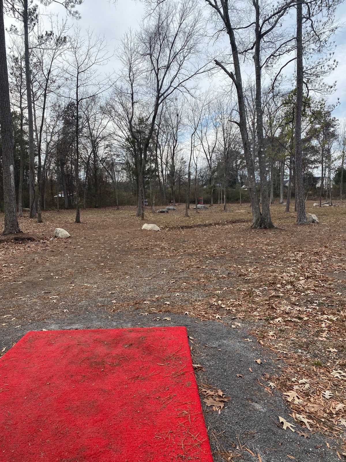 Hole 4 Tee
