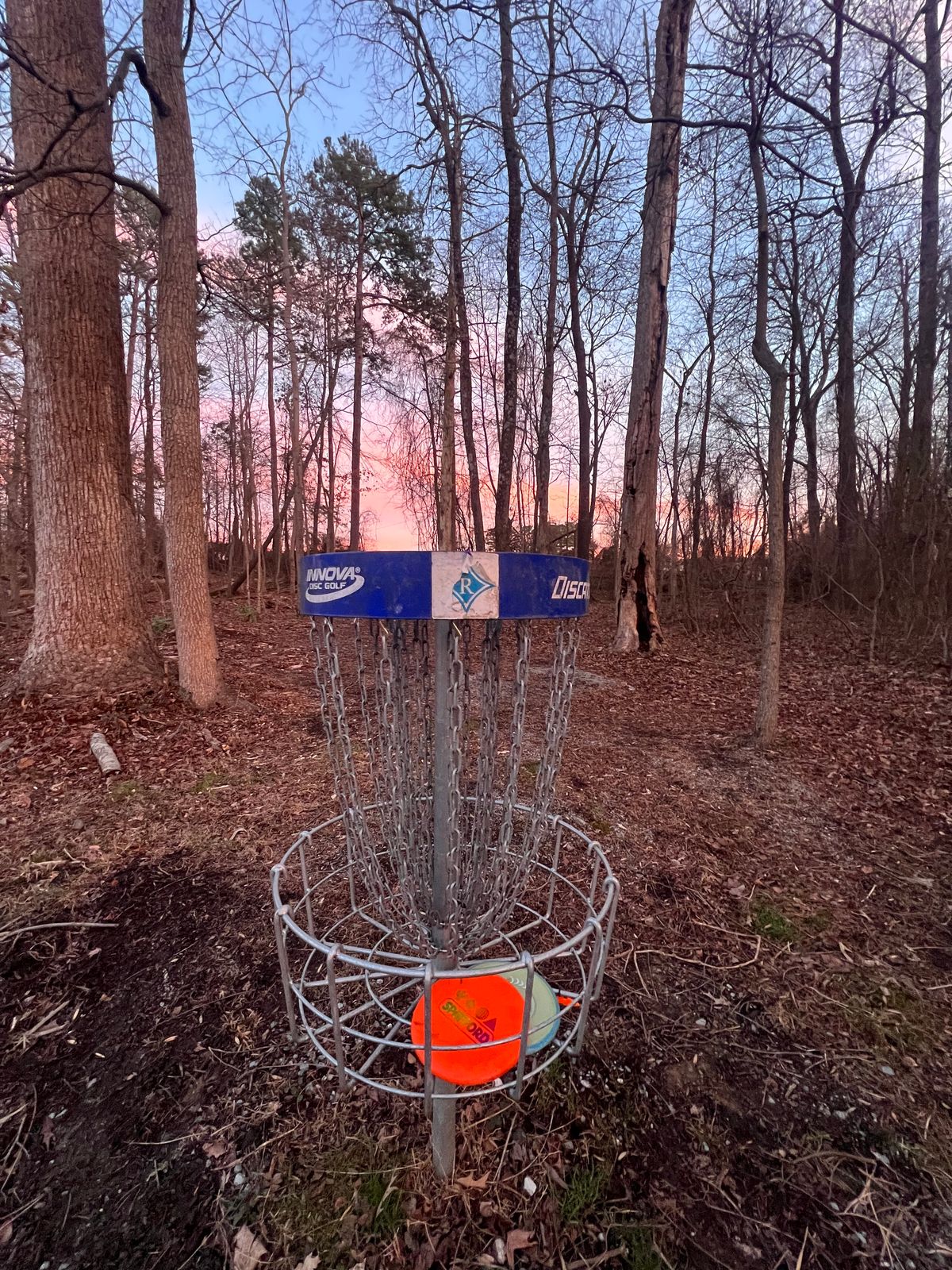 Fun day, cotton candy skies.