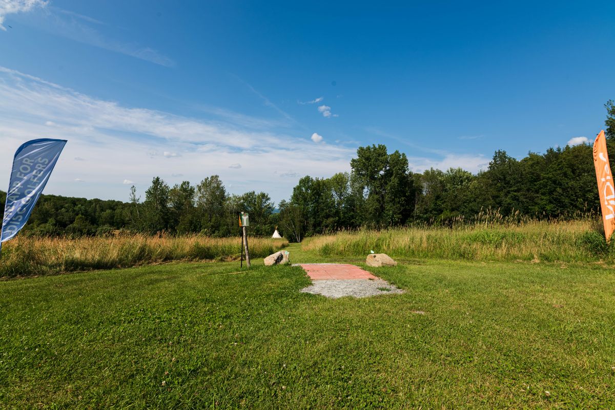 Hole 4 tee