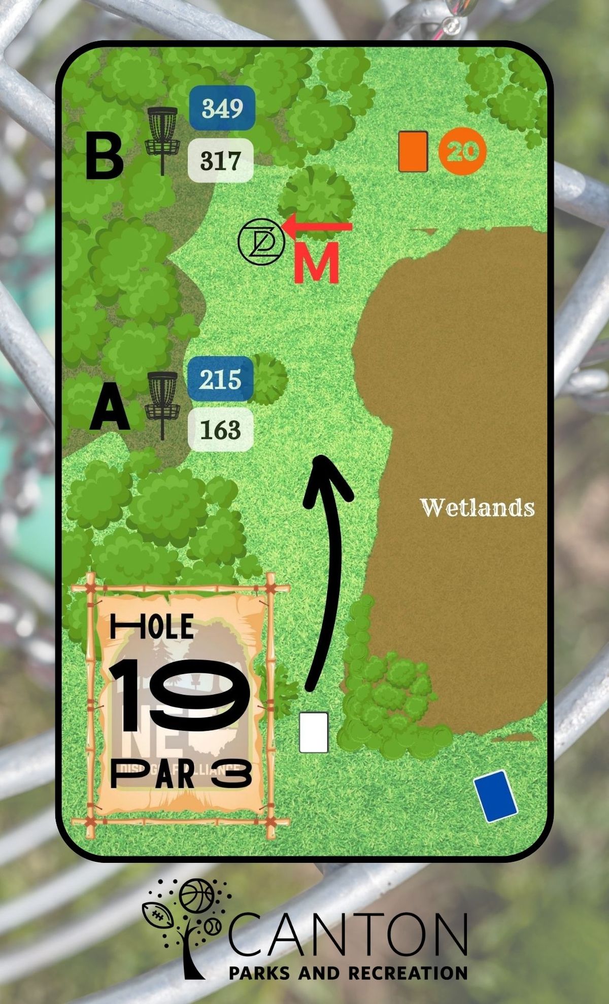 19