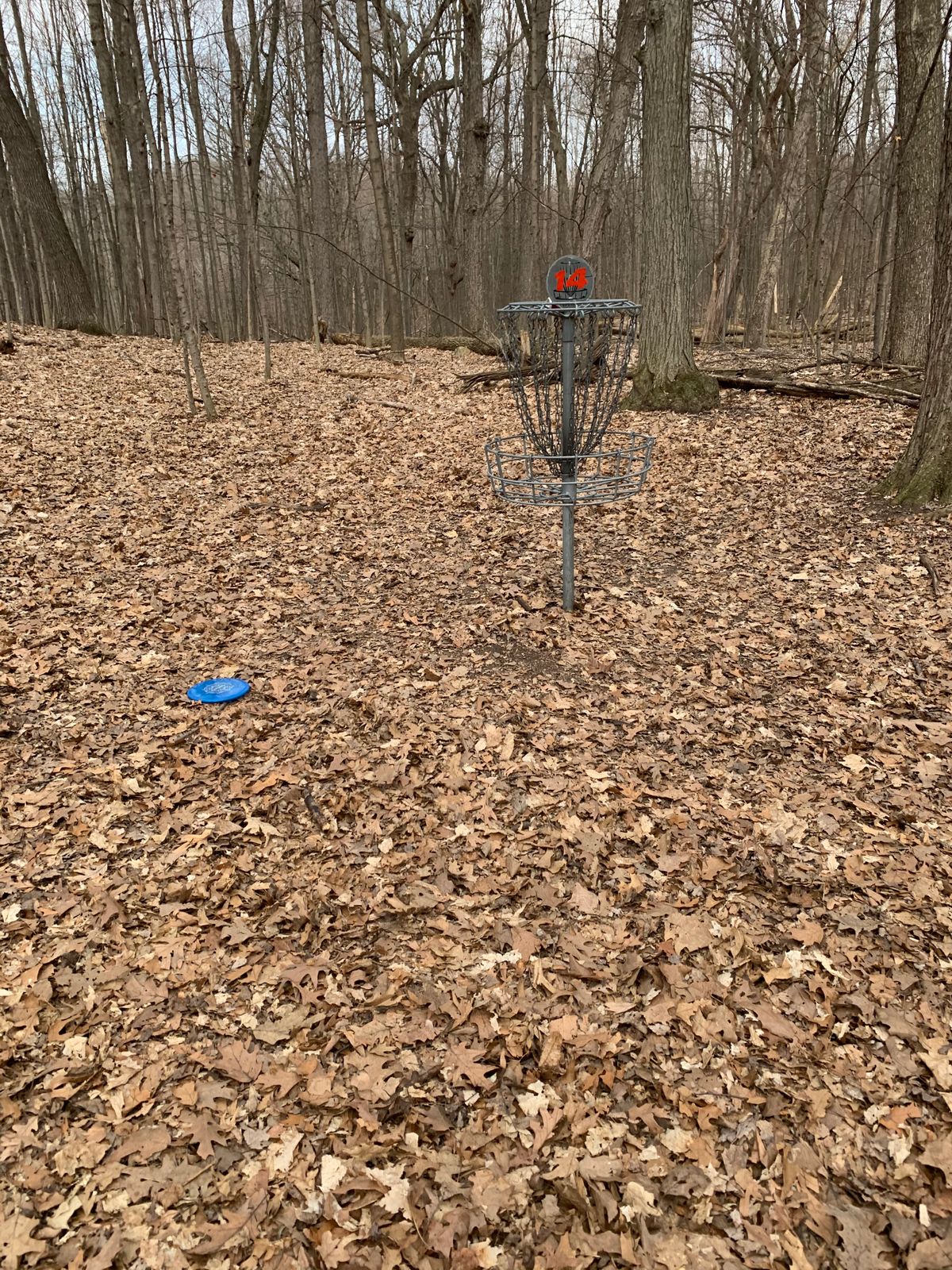 Luckiest drive I’ve ever had.