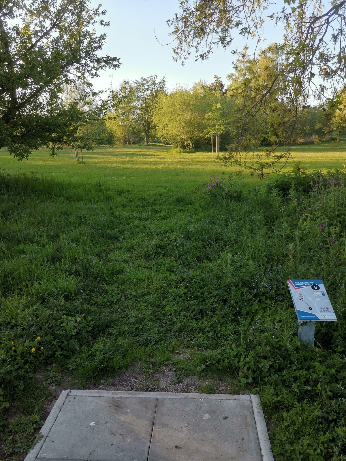 Hole 8