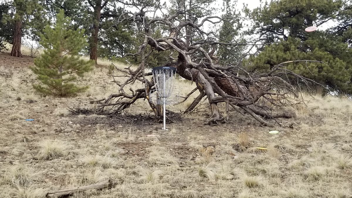 Basket for hole #3