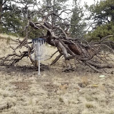 Basket for hole #3