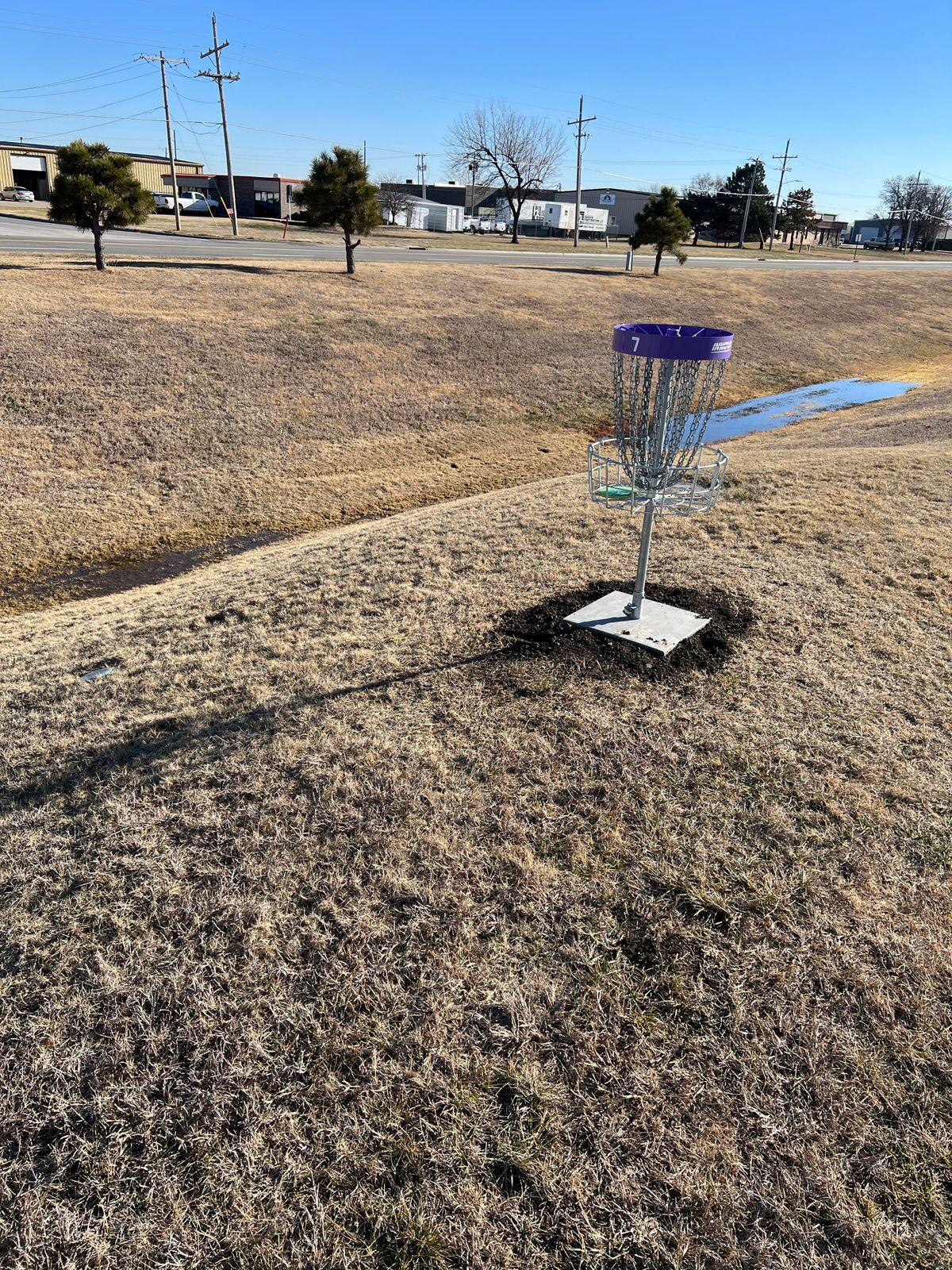 #7 at the basket