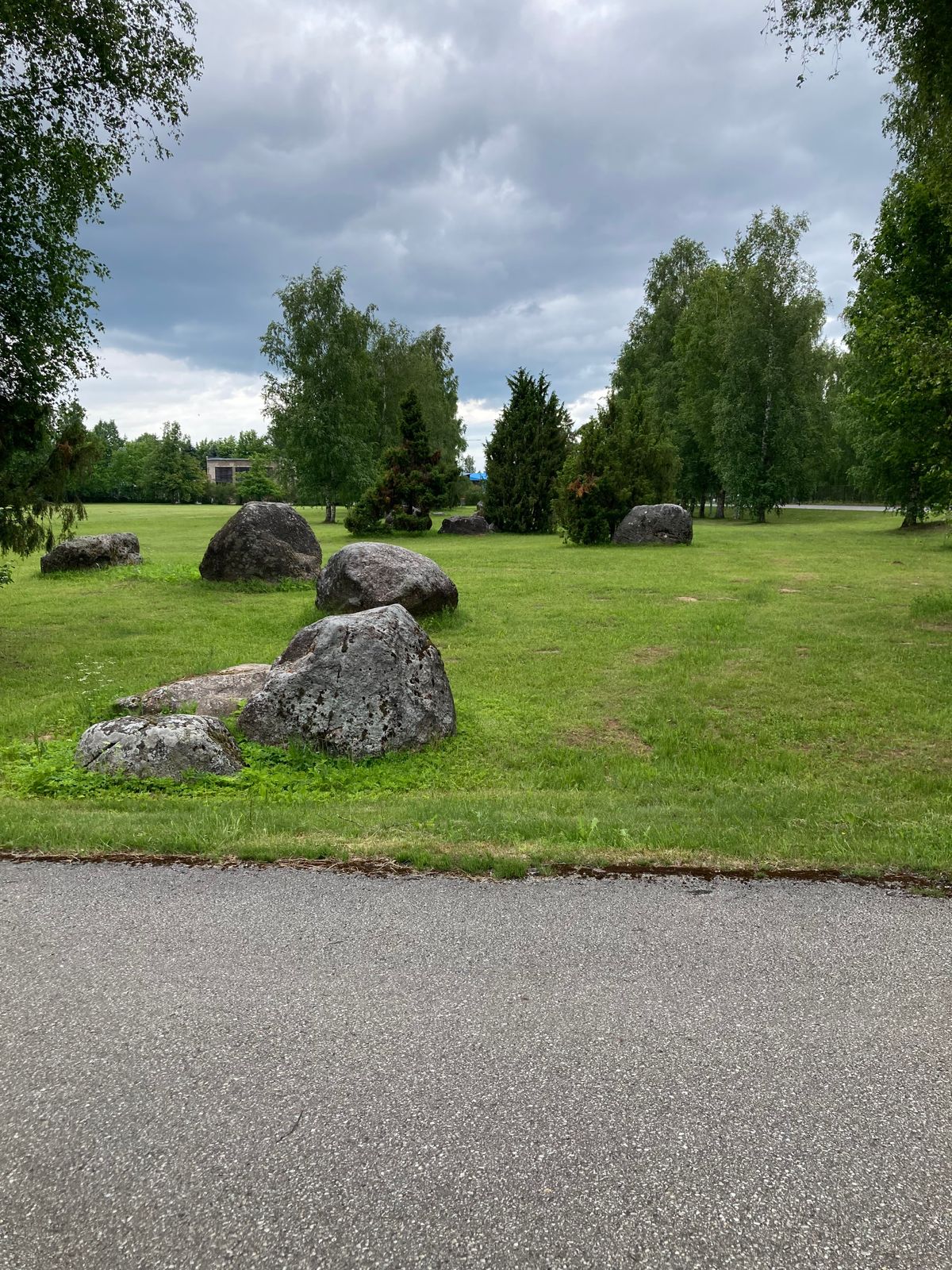 Tee 5