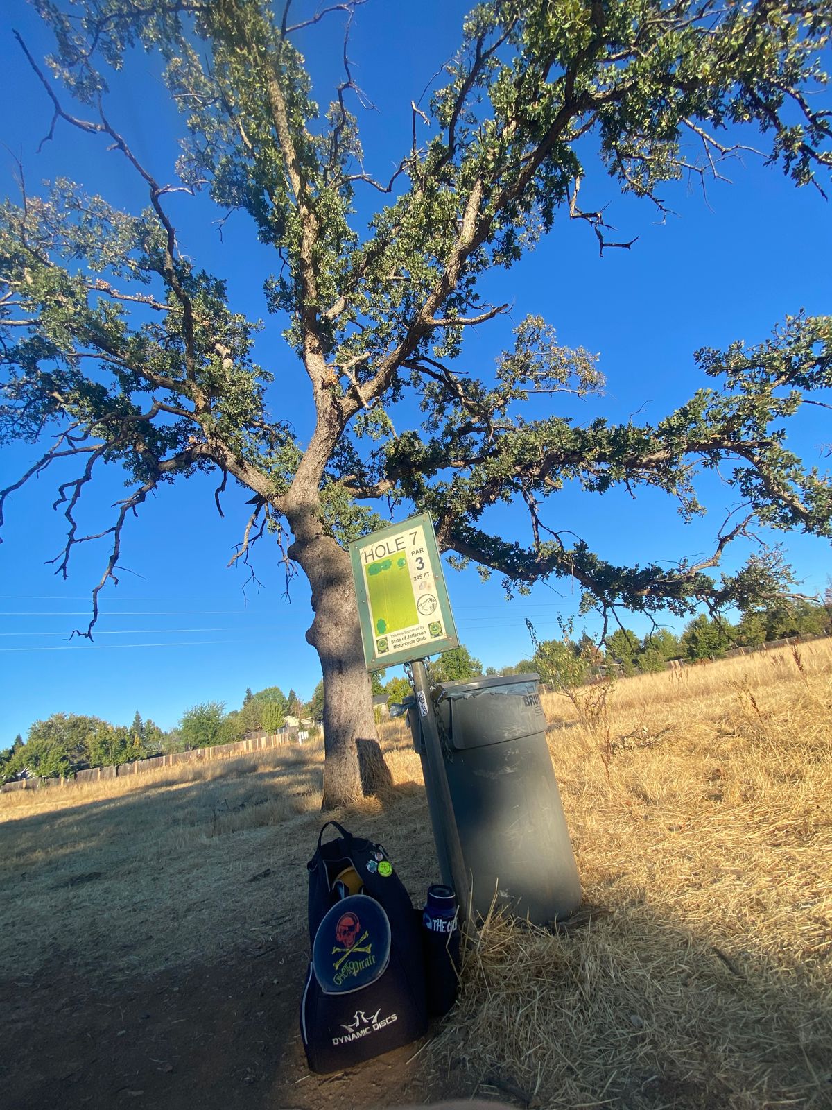 Beautiful tree on hole 7!  It’s just like Africa!