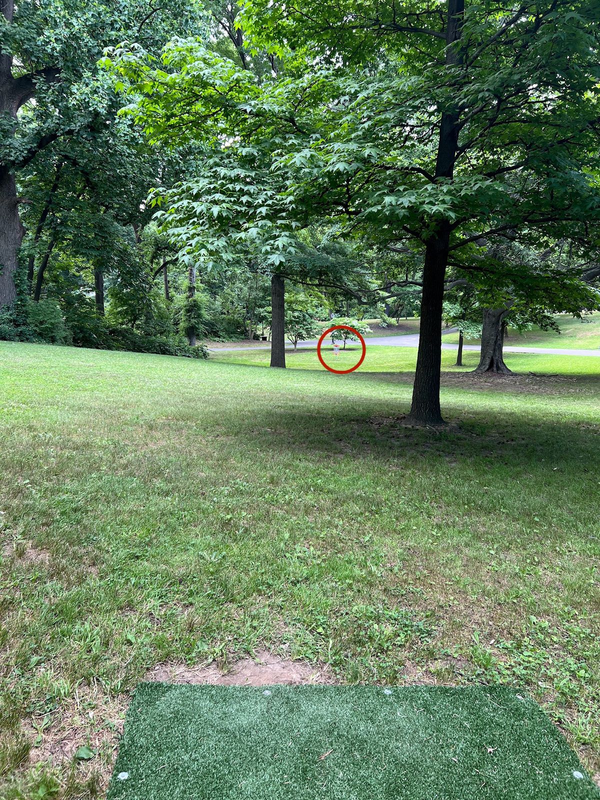 Hole 8