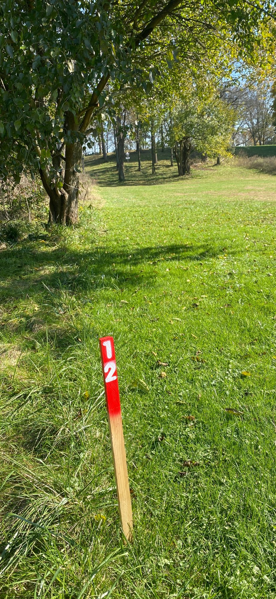 Hole 12