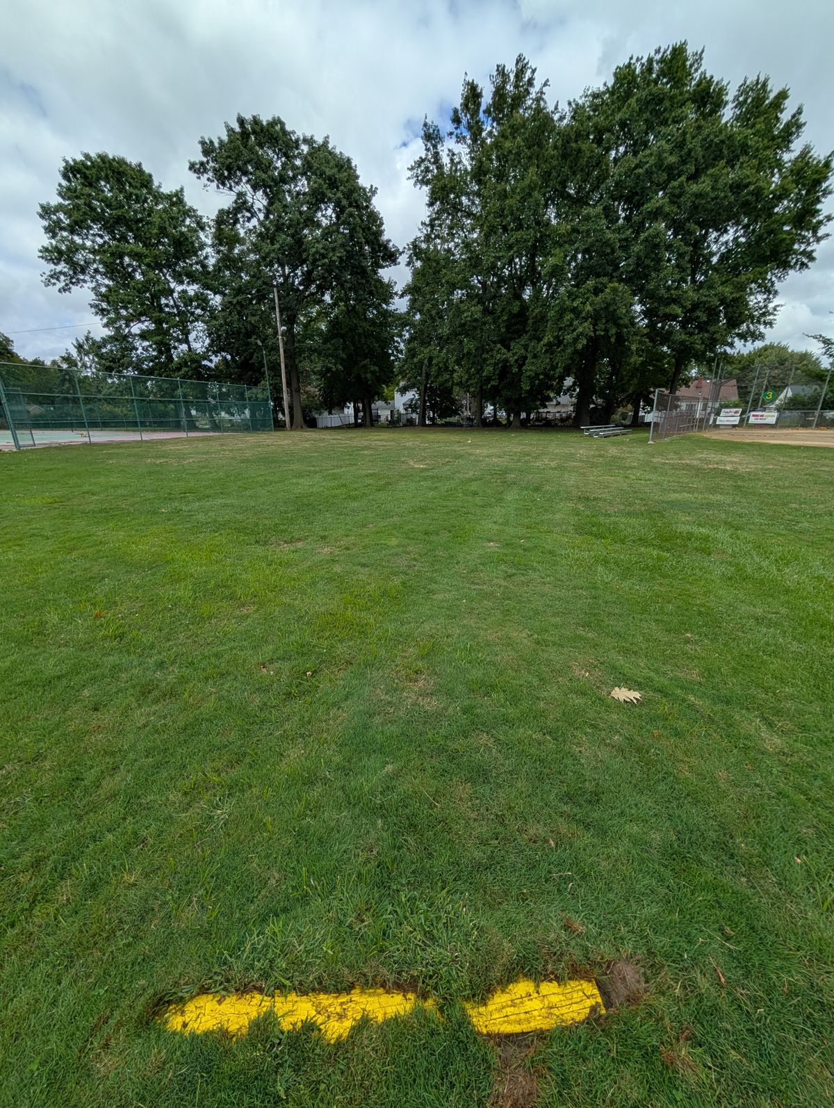 #2 tee