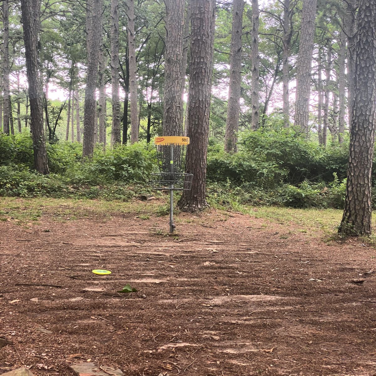 Hole 6 Short Pin