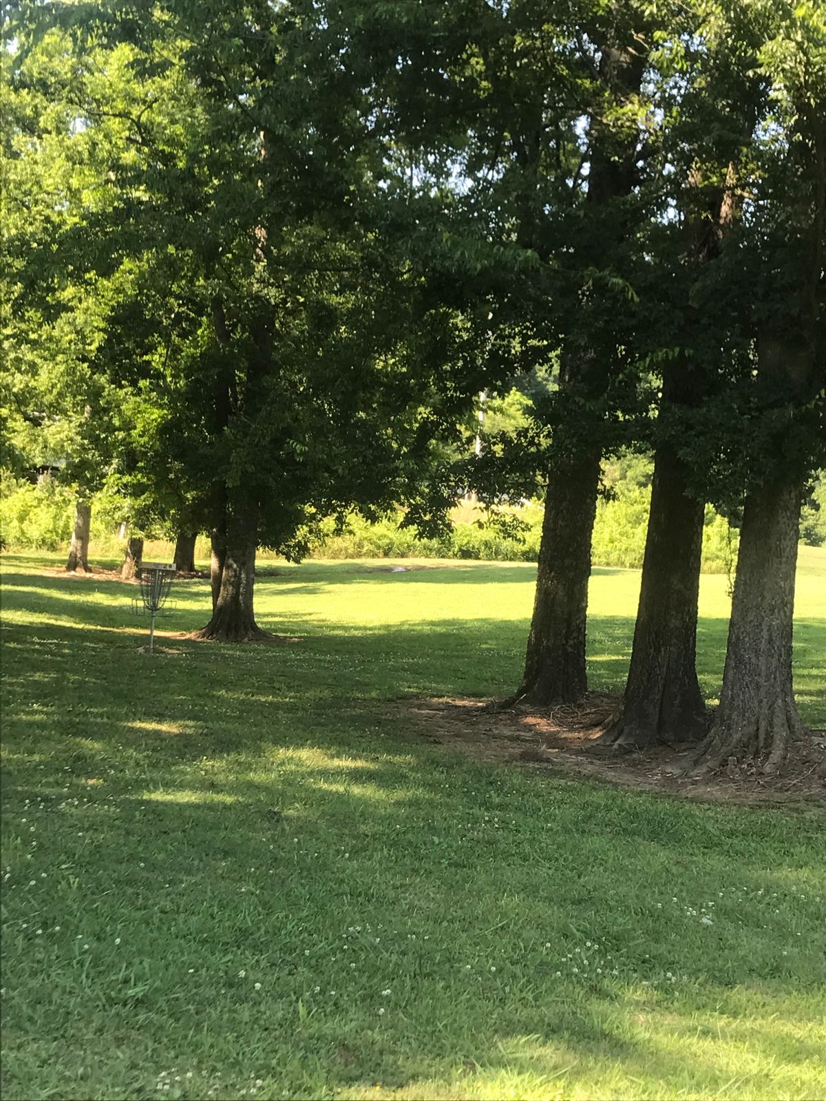 Hole 2 beside the OB Walkway path and Creek
