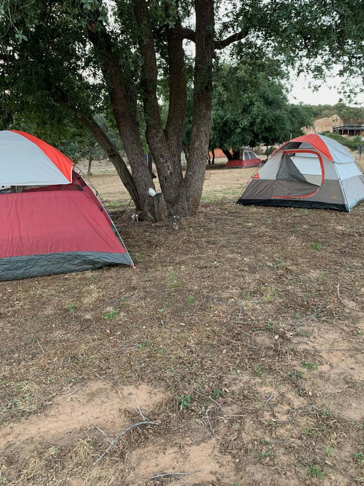 GoodVibes Disc Golf and Camping passes available at GoodVibes Ranch & Farm!