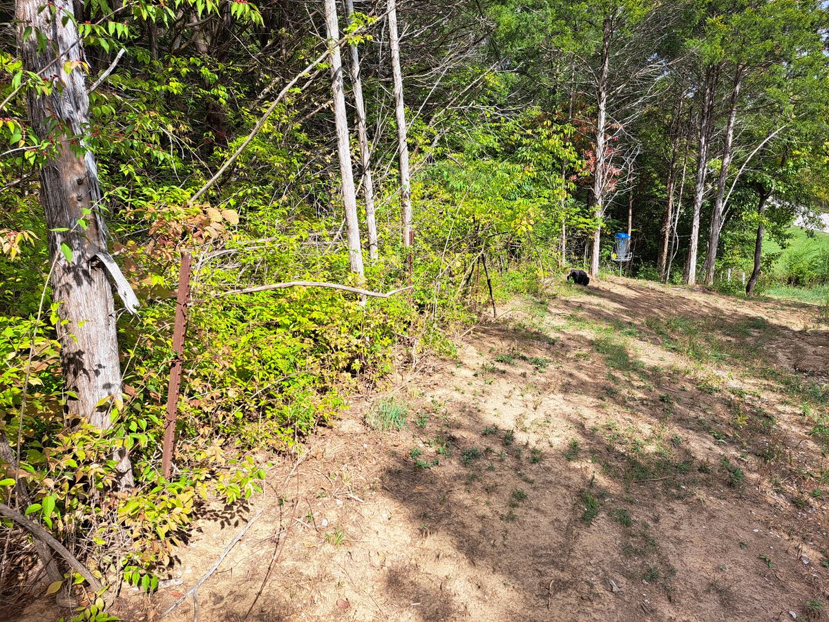 Hole 11, barb wire fence down left side staring 100ft from basket. Be careful. It's hard to see