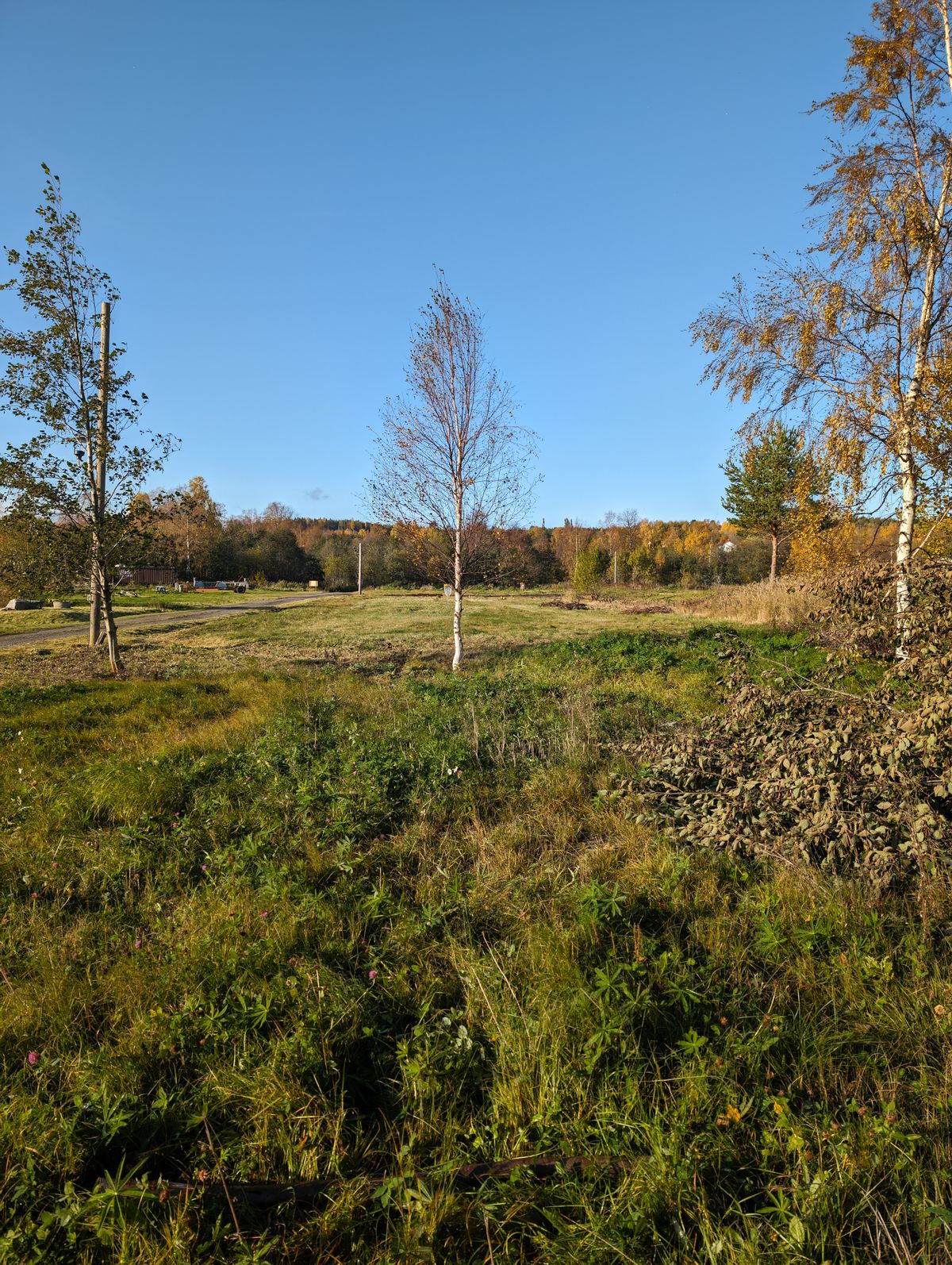 Nr9