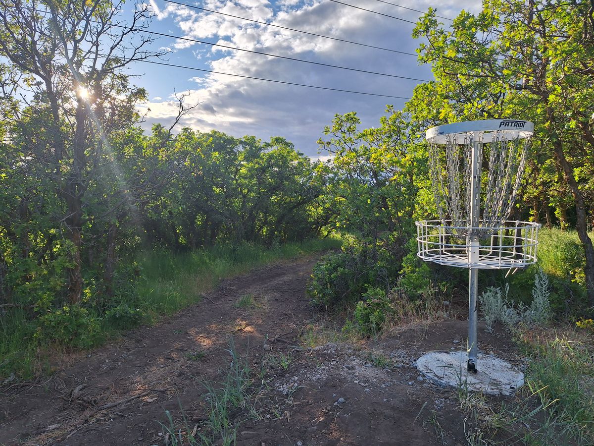 Hole 7 basket
