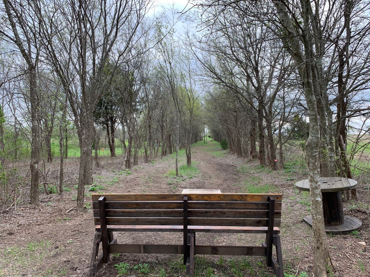 Hole 14