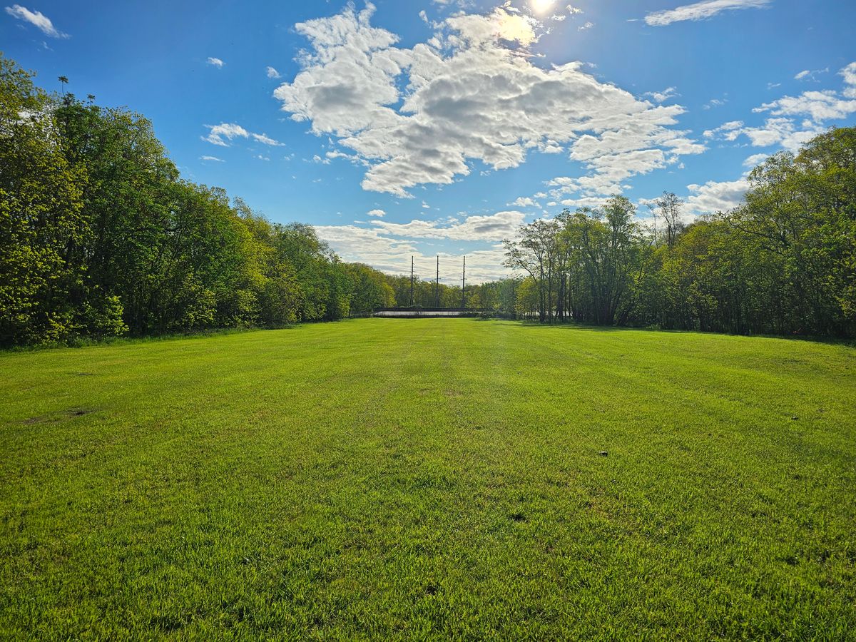 Hole 4 fairway. Halfway to basket