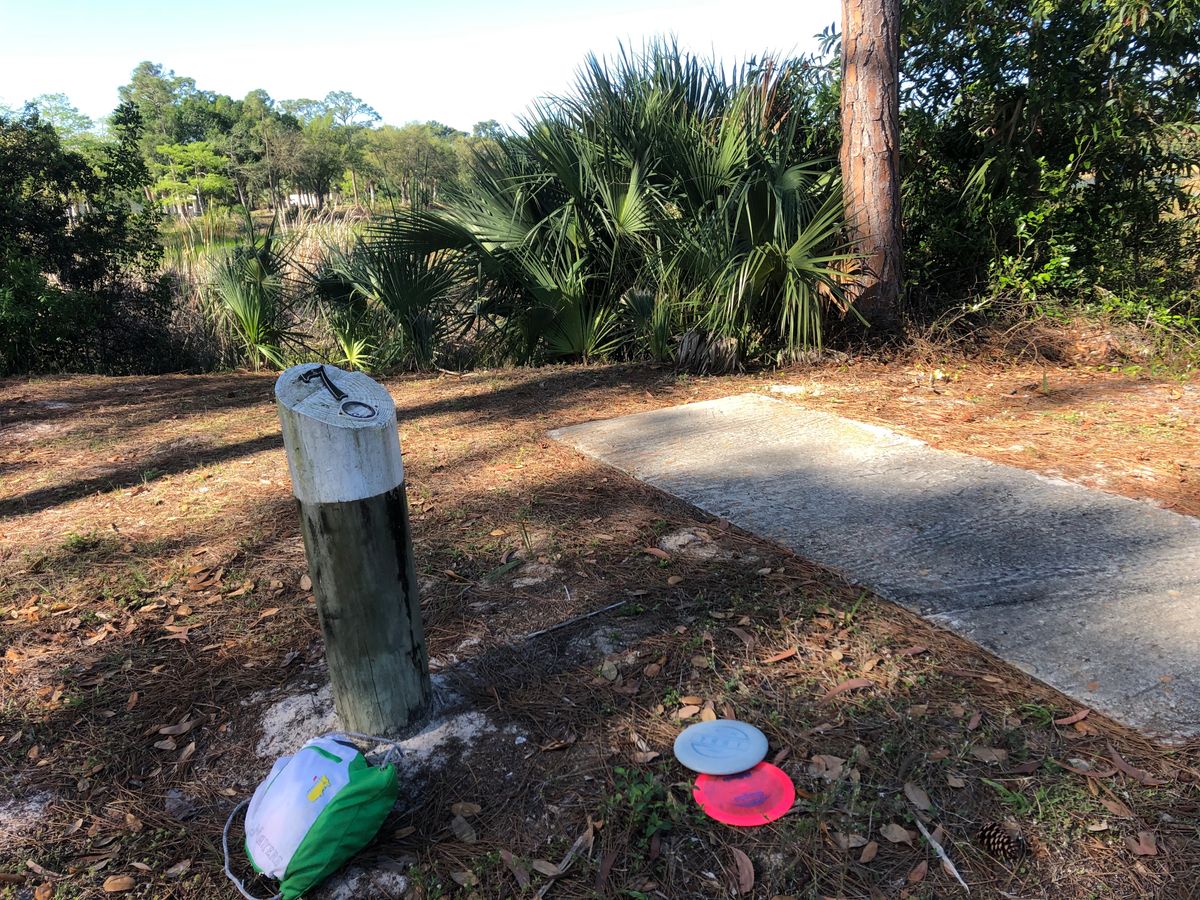 #7 Blue tee.  Carry the water!