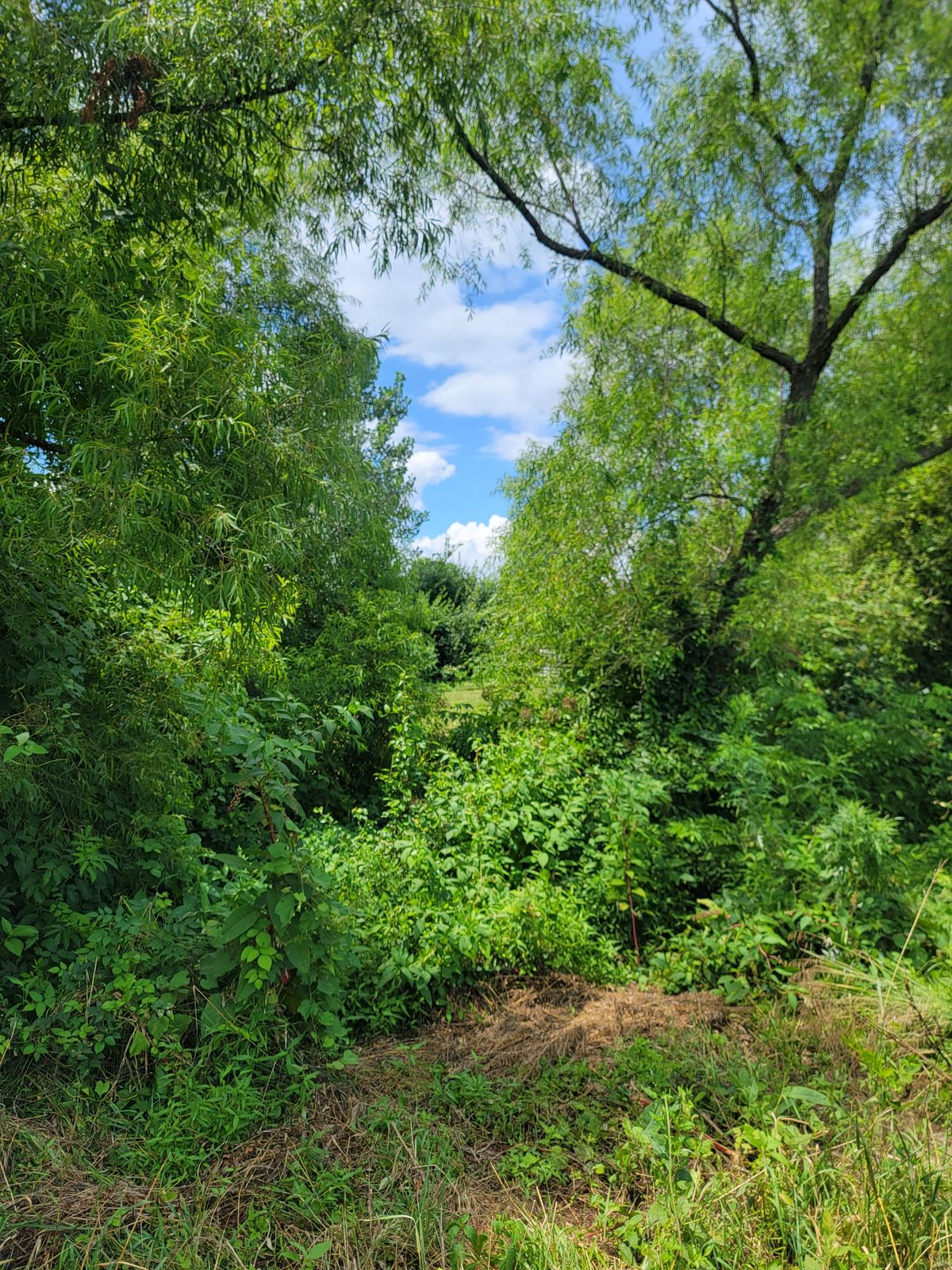 Hole 1