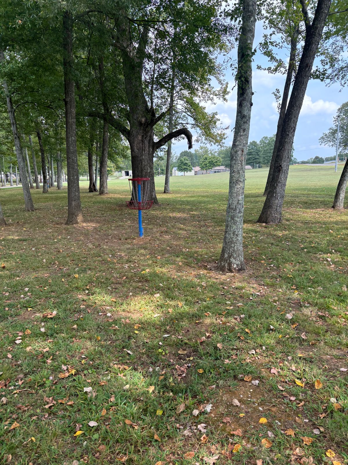 Hole 7 basket