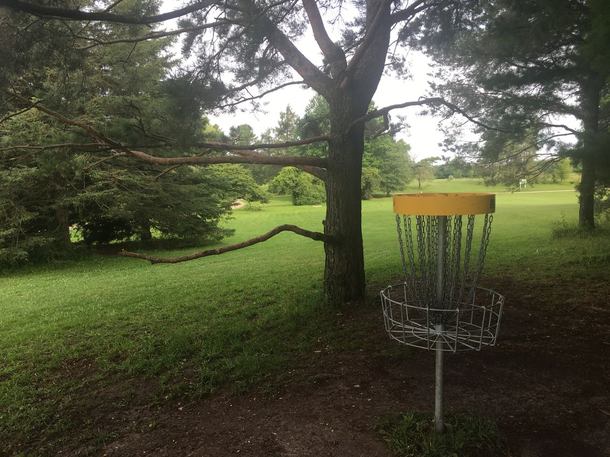 Reverse back up the fairway on hole 9 🌲🇨🇦🌲🇨🇦🌲🇨🇦