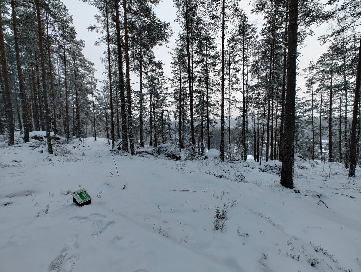 Maisemat