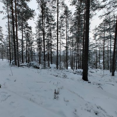 Maisemat