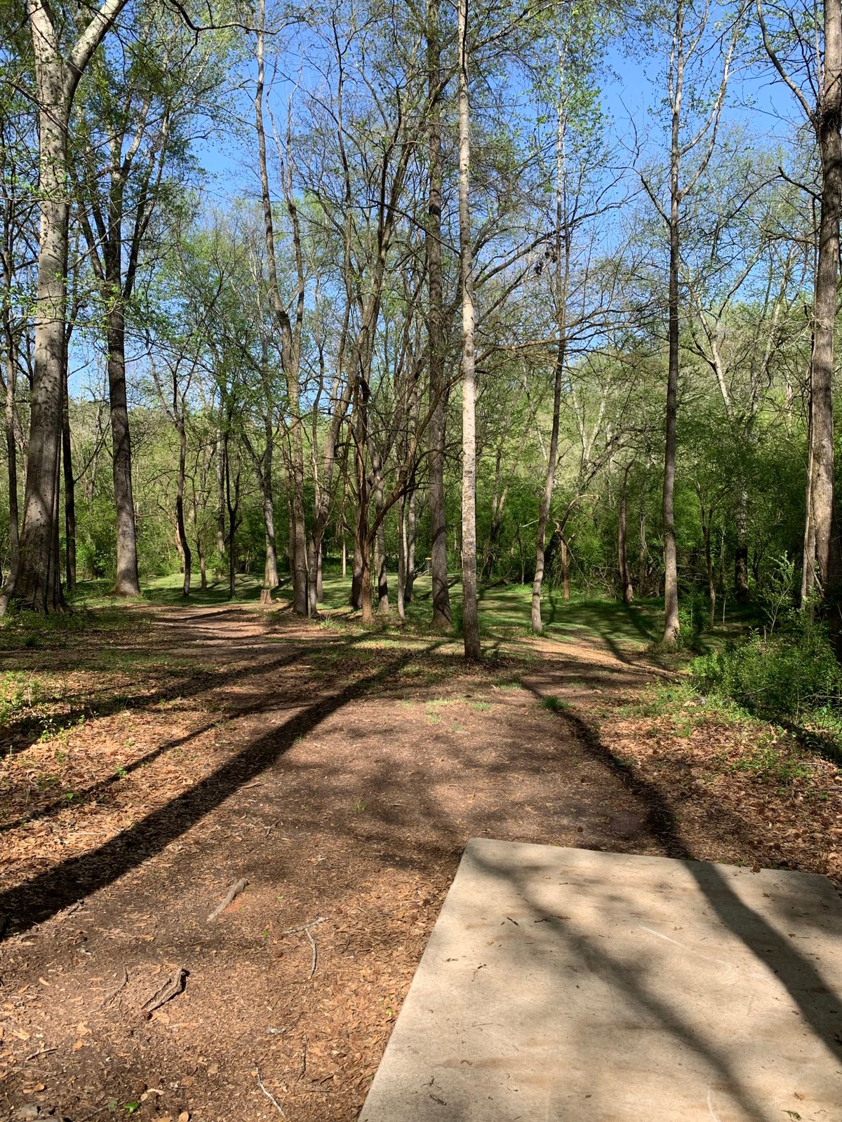 Hole 3 fairway