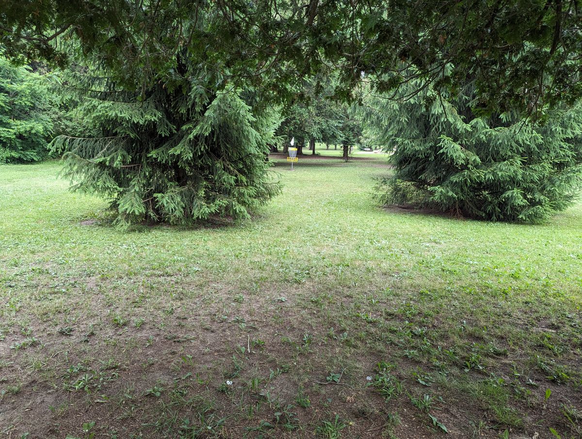 Approach to hole 6