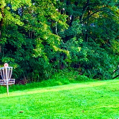 Hole 6, short pin.