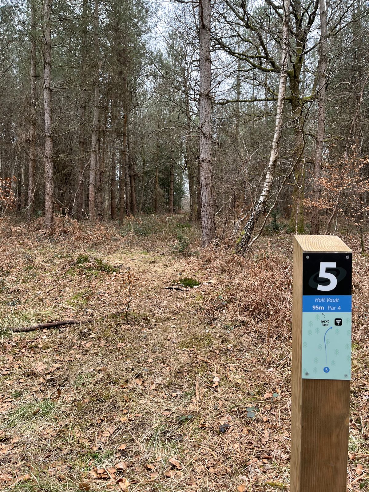 Tee 5 long